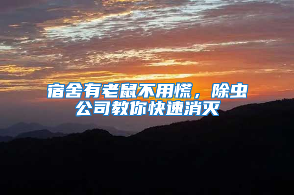 宿舍有老鼠不用慌，除蟲公司教你快速消滅