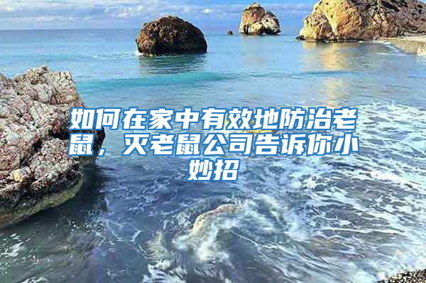 如何在家中有效地防治老鼠，滅老鼠公司告訴你小妙招