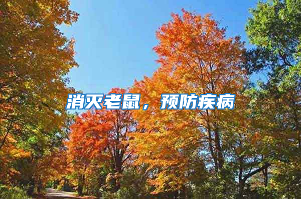 消滅老鼠，預防疾病