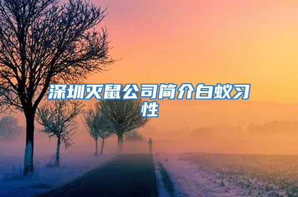 深圳滅鼠公司簡介白蟻習(xí)性