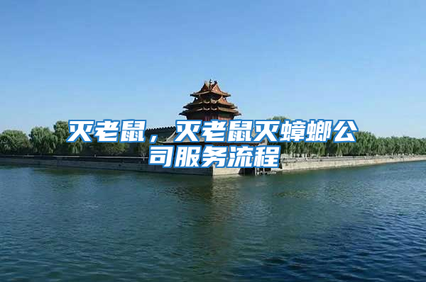 滅老鼠,滅老鼠滅蟑螂公司服務(wù)流程