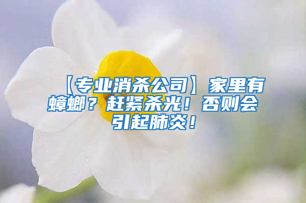 【專業消殺公司】家里有蟑螂？趕緊殺光！否則會引起肺炎！