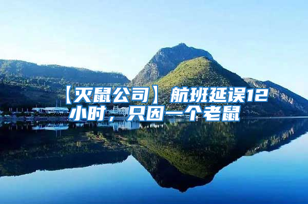 【滅鼠公司】航班延誤12小時(shí)，只因一個(gè)老鼠