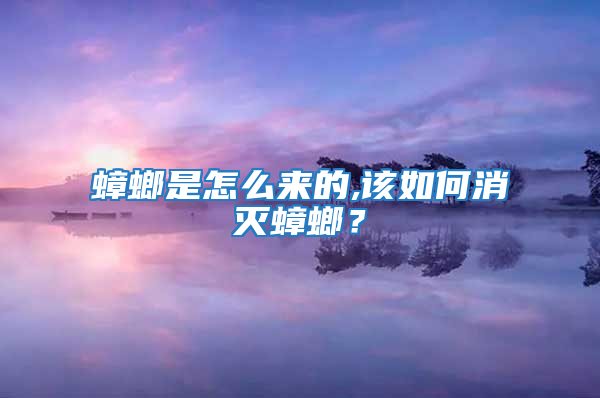 蟑螂是怎么來的,該如何消滅蟑螂？