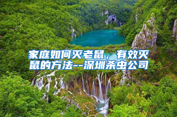 家庭如何滅老鼠，有效滅鼠的方法--深圳殺蟲公司