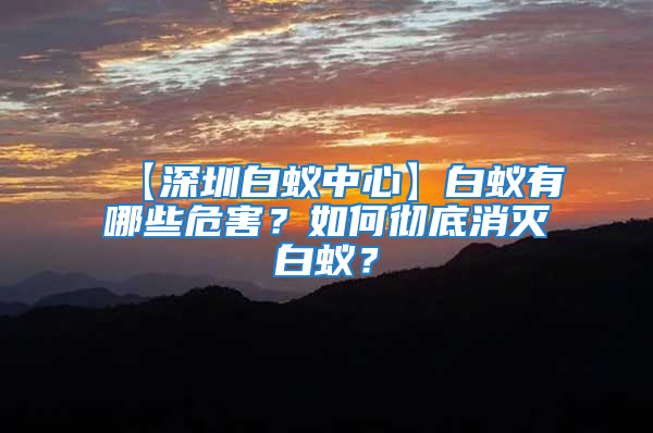 【深圳白蟻中心】白蟻有哪些危害?如何徹底消滅白蟻?