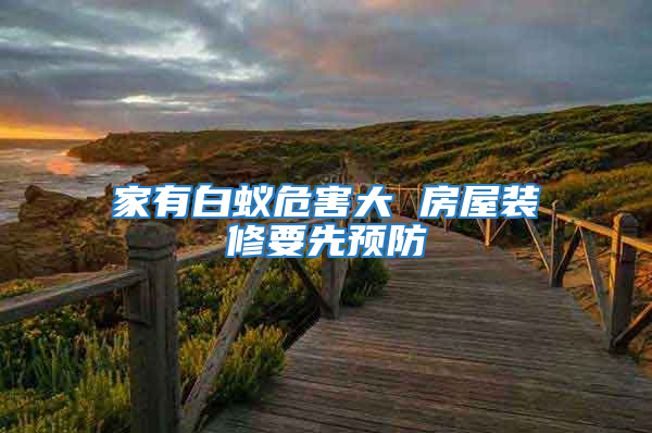 家有白蟻危害大 房屋裝修要先預防