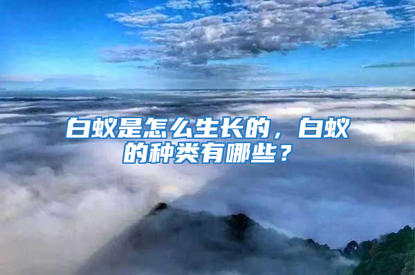 白蟻是怎么生長的,白蟻的種類有哪些?