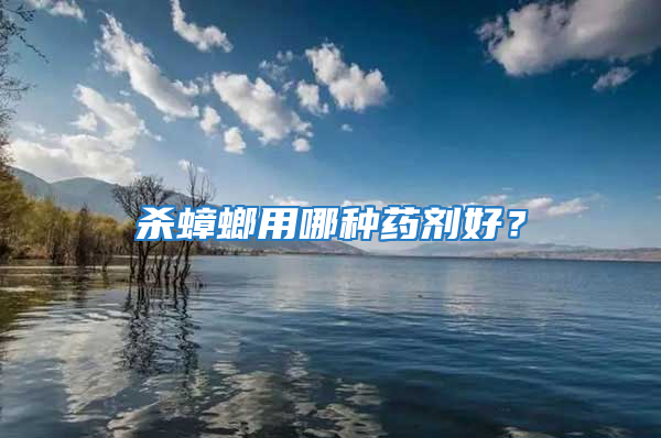 殺蟑螂用哪種藥劑好?