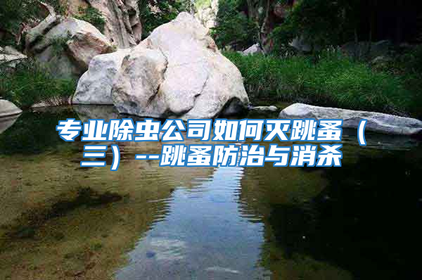 專業除蟲公司如何滅跳蚤(三)--跳蚤防治與消殺