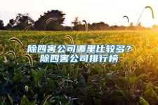 除四害公司哪里比較多？除四害公司排行榜