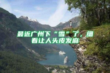 最近廣州下“雪”了，細(xì)看讓人頭皮發(fā)麻