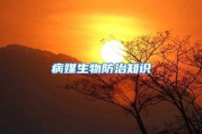 病媒生物防治知識(shí)
