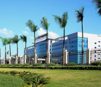 石巖奮達科技園除四害服務