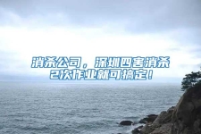 消殺公司，深圳四害消殺2次作業(yè)就可搞定！