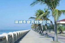 深圳專業滅蛀蟲公司