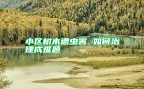 小區樹木遭蟲害 如何治理成難題