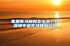 家里有馬蜂窩怎么辦？找深圳專業(yè)滅馬蜂窩公司