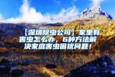 【深圳除蟲公司】家里有害蟲怎么辦，6種方法解決家庭害蟲困擾問題！