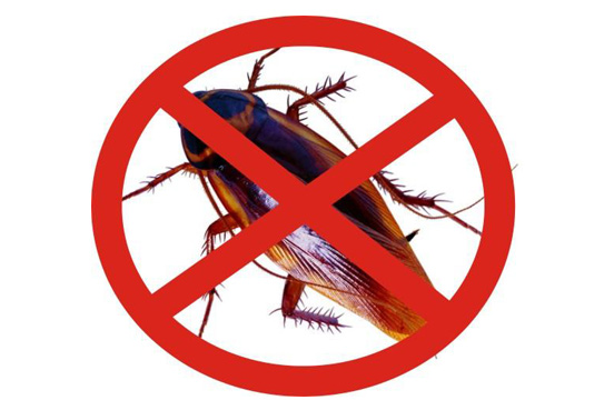 專業(yè)殺蟲(chóng)滅蟑螂公司